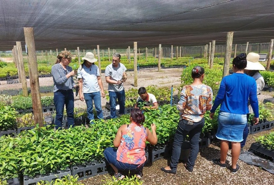 NOVIDADE: Entidade promove curso sobre Produção de Mudas e Coleta de Sementes