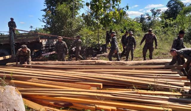 ESCUDO: Exército encontra serraria clandestina no interior de Rondônia