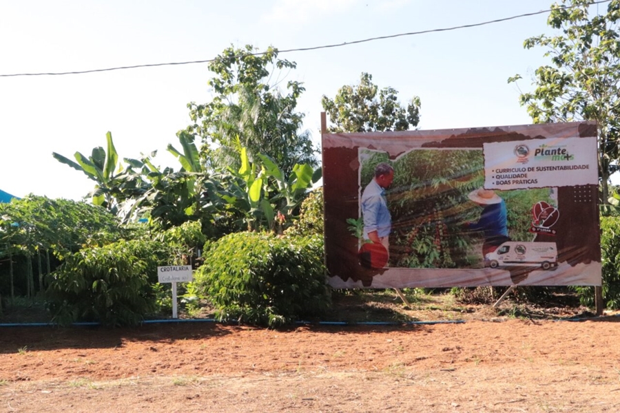 INOVAÇÃO E TRANSFORMAÇÃO: Assistência técnica e tecnologia transformam a realidade da agricultura familiar