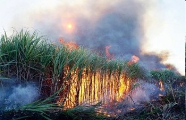 CEREJEIRAS - Aumenta o número de queimadas no município 