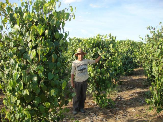 REGULARIZAÇÃO: MPF processa Incra e União para que implantem o assentamento Frutos da Terra