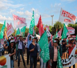 PROTESTO: Agricultura familiar mobilizada para o Grito da Terra

