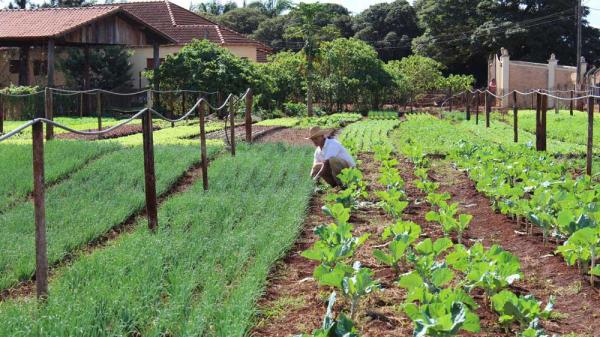 HOMEM DO CAMPO: Empreendedorismo rural atrai 300 agricultores familiares para “2ª Tarde de Conhecimentos”