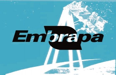 Embrapa abre inscrições para concurso com 676 vagas - Confira edital 