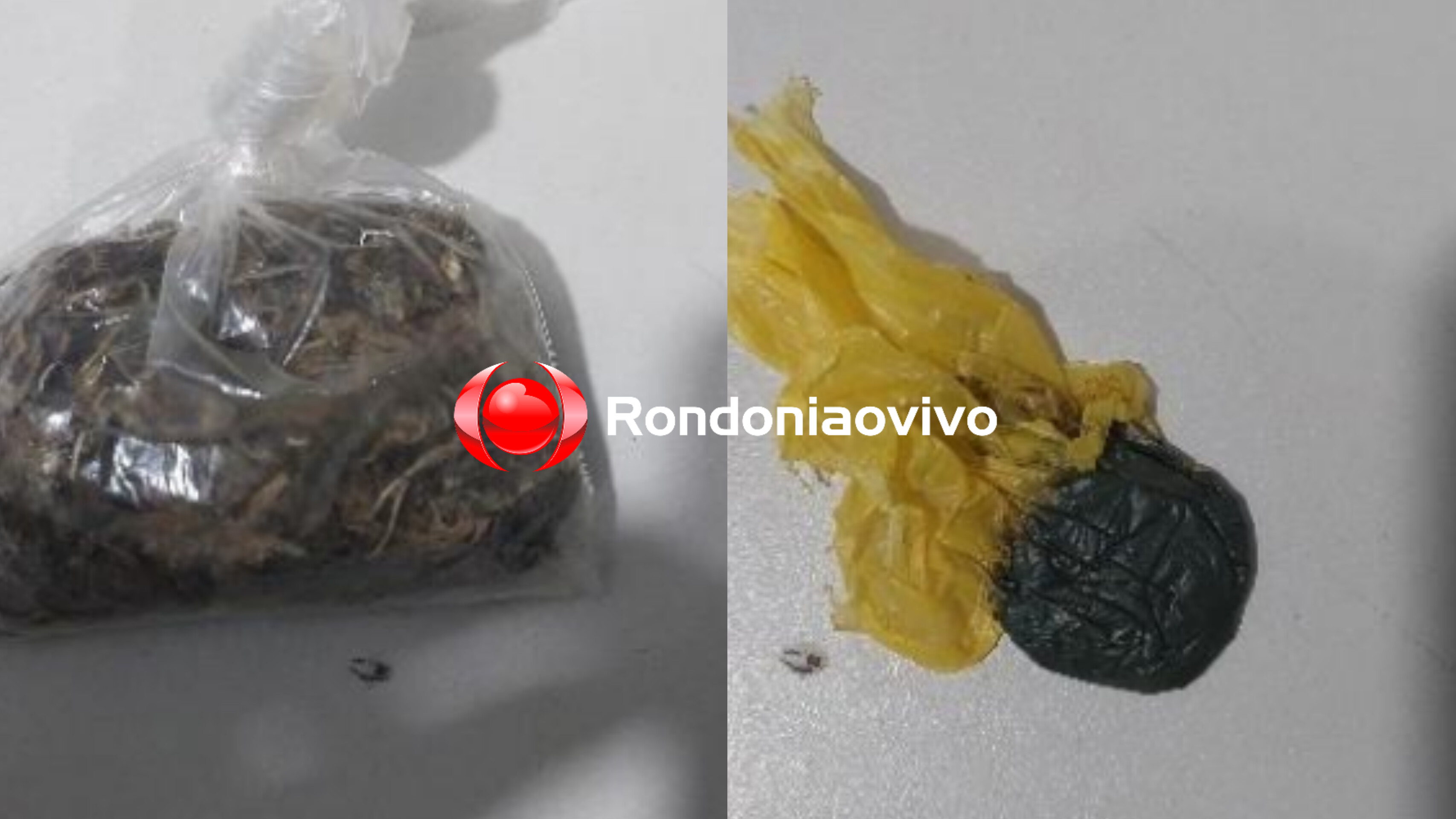 SÃO SEBASTIÃO: Jovem é preso com maconha e haxixe após ação da PM com helicóptero 