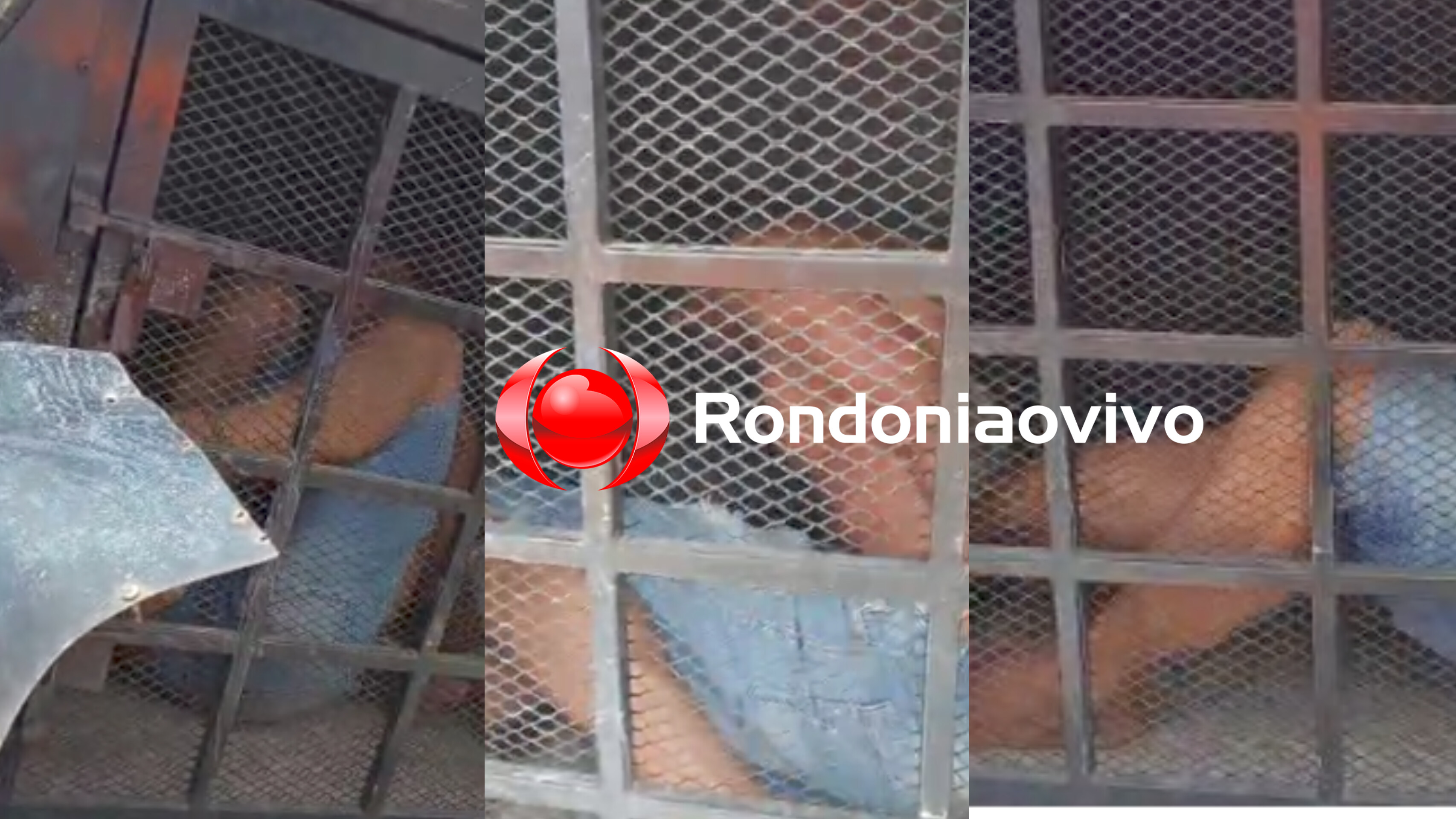 ACORDOU TARDE: Marido ameaça esposa, briga com os filhos e quebra viatura ao ser preso 