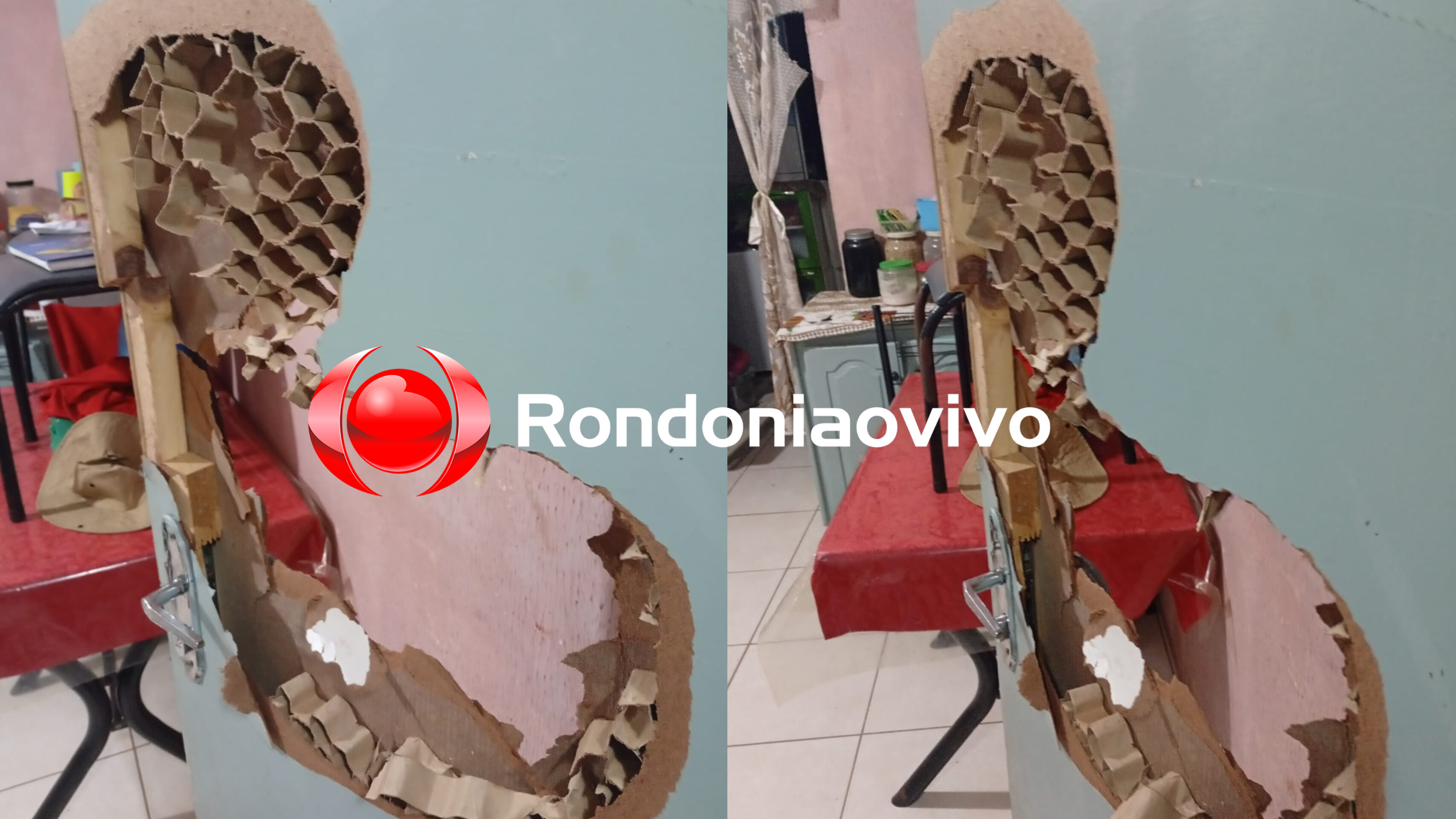 ORGULHO DO MADEIRA: Marido agride esposa, destrói tudo em apto e resiste a prisão 