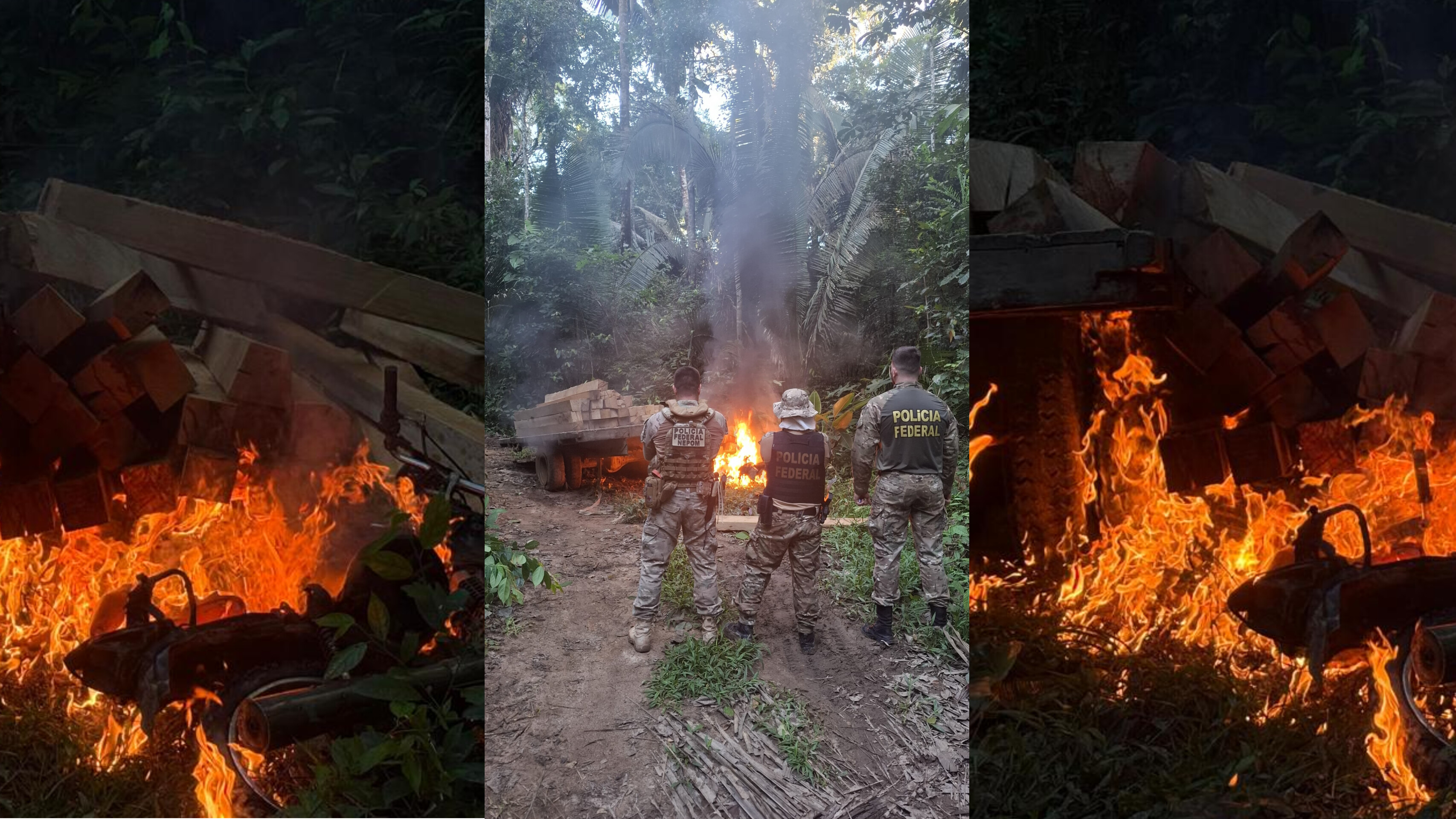 OPERAÇÃO PERSEVERARE: PF, Funai e Ibama combatem desmatamento em Terra Indígena - VÍDEO 