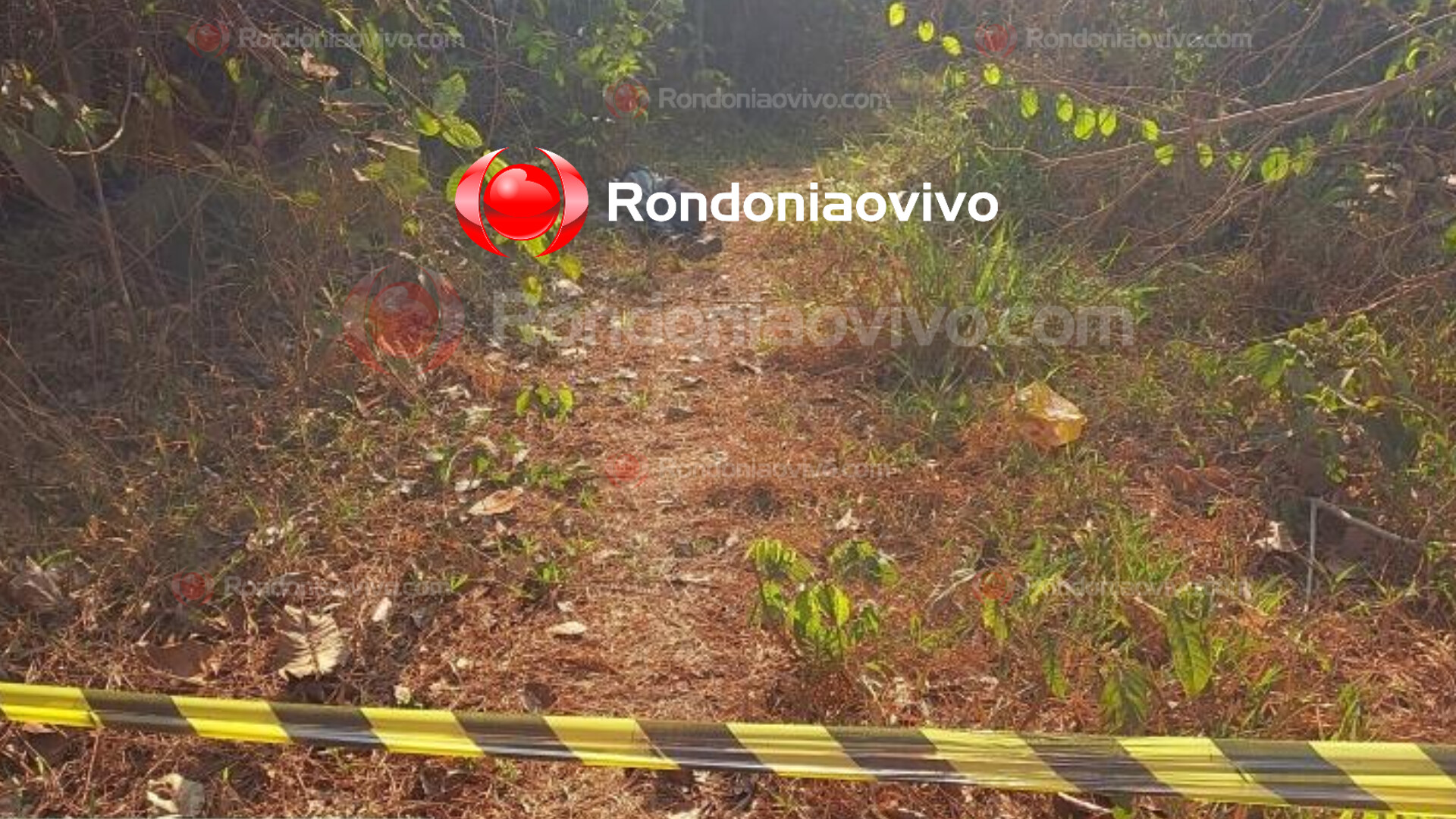 HOMICÍDIOS INVESTIGA: Homem é encontrado morto em matagal com tiros na cabeça 