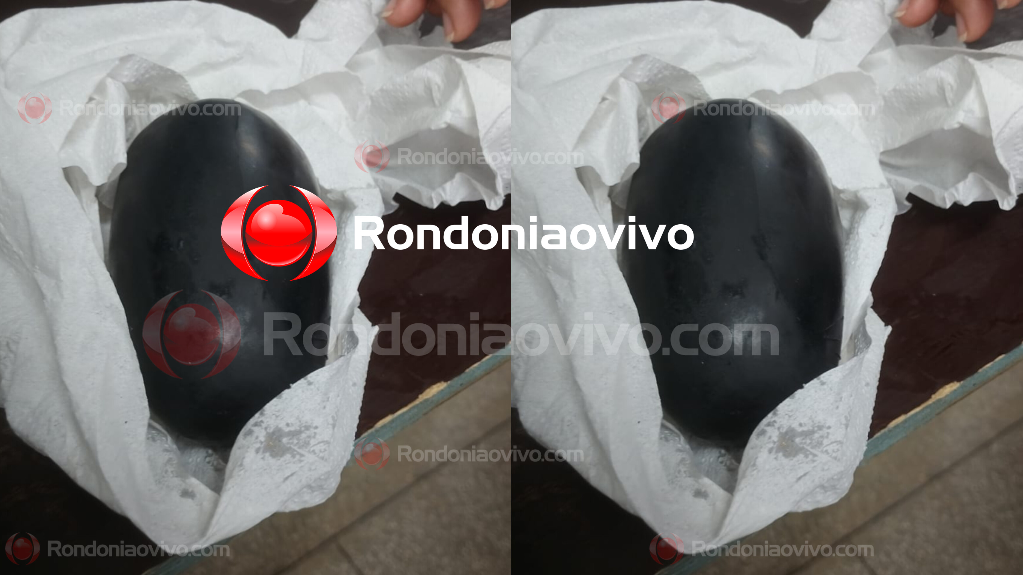 URGENTE: Jovem é presa no 603 levando droga no órgão genital a mando de facção