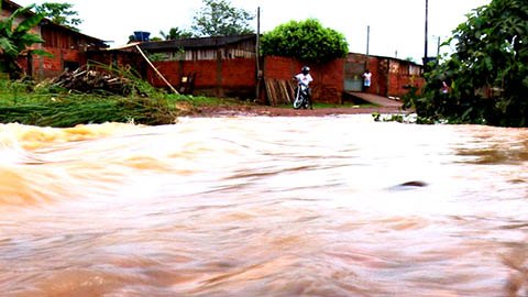 NATUREZA - Chuva e alagamento preocupa ribeirinhos