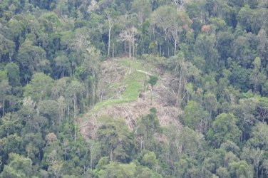 Povo indígena desconhecido faz primeiro contato com a Funai no Acre