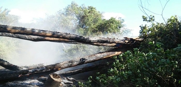 Rodovia é interditada após incêndio em ponte