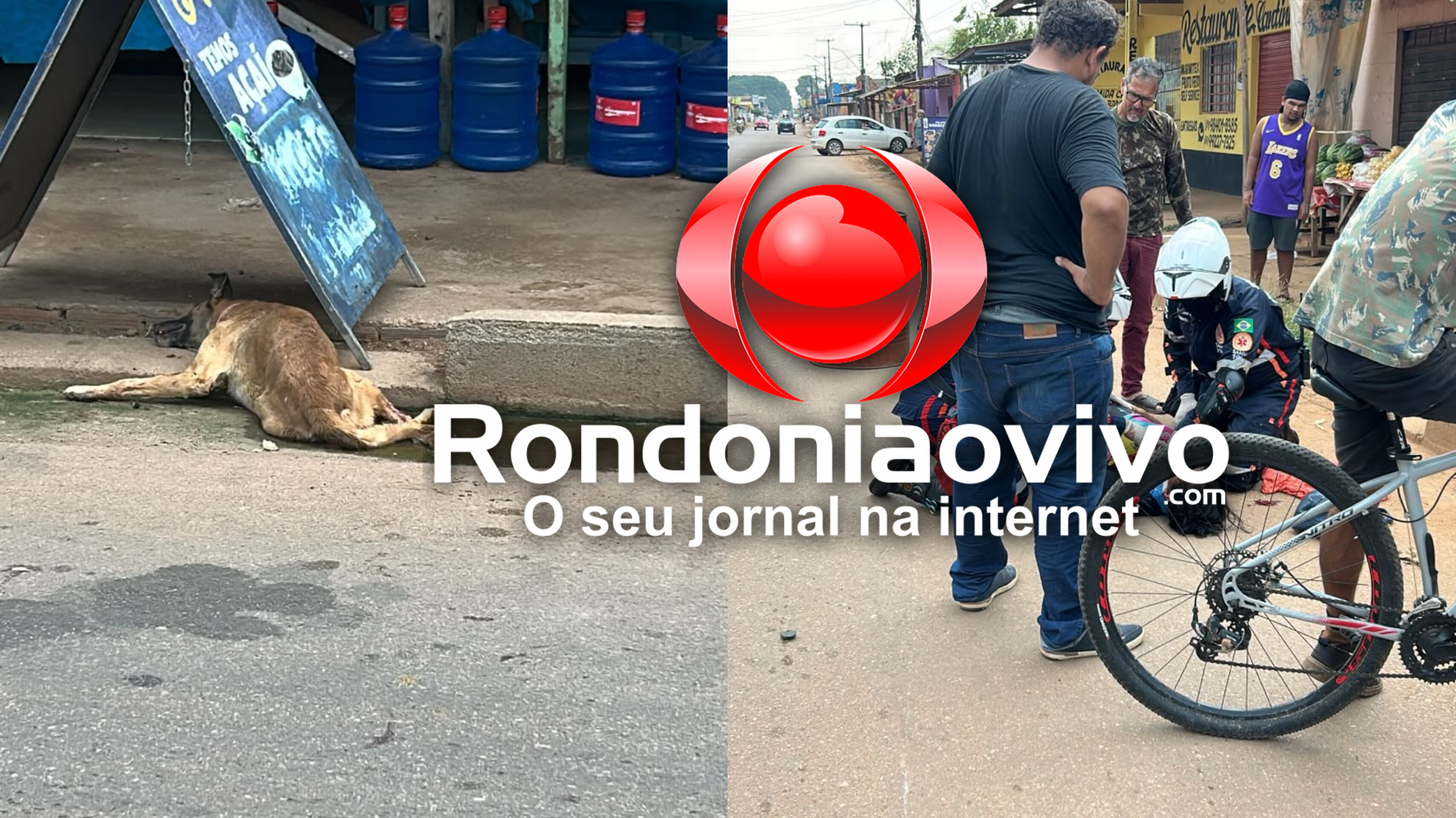 URGENTE: Mulher fica em estado grave após moto atropelar cachorro