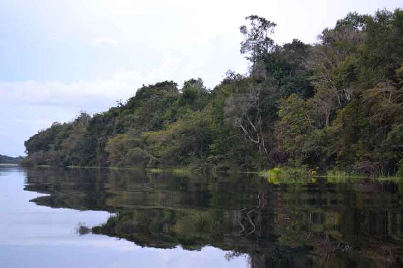 MEIO AMBIENTE: Governo Bolsonaro busca correção de rota na Amazônia