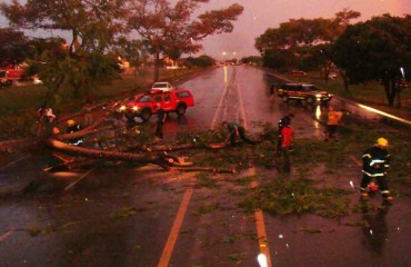 VILHENA - Chuva e ventania provocam estragos por toda cidade – Fotos