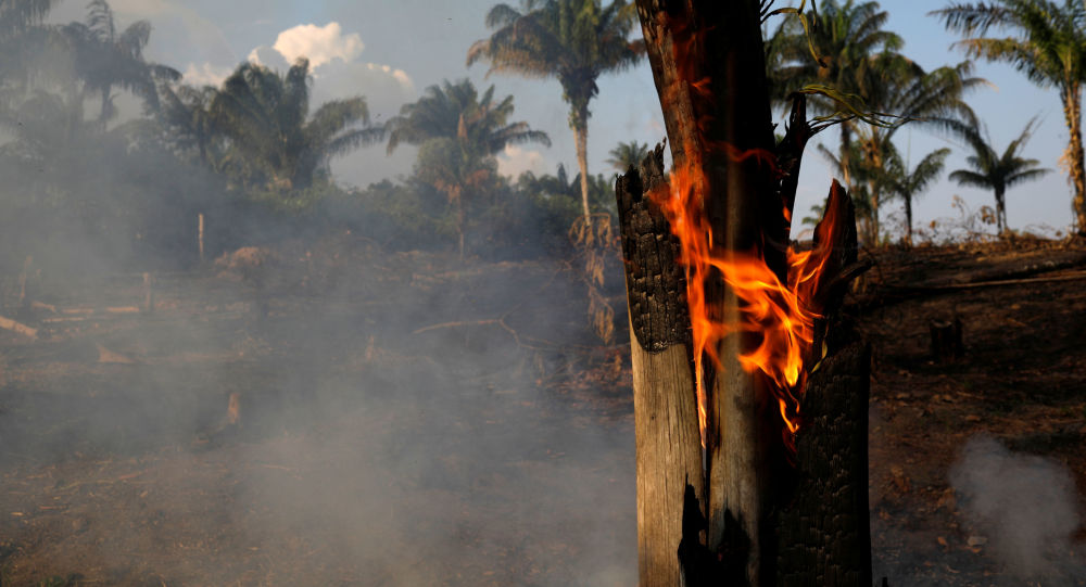 TRISTE: Fogo na floresta Amazônica causa comoção e revolta na internet