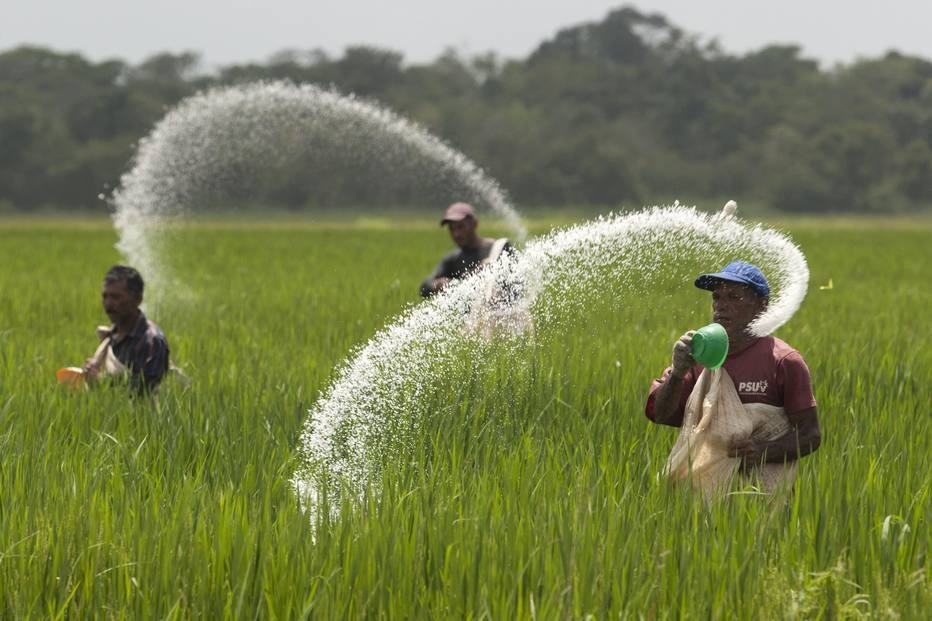 Produção de comida na Venezuela cai mais da metade nos últimos 10 anos