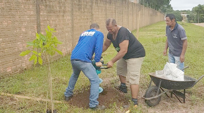 ARBORIZAÇÃO: Whats árvore, da Secretaria Municipal de Meio Ambiente, continua ativo