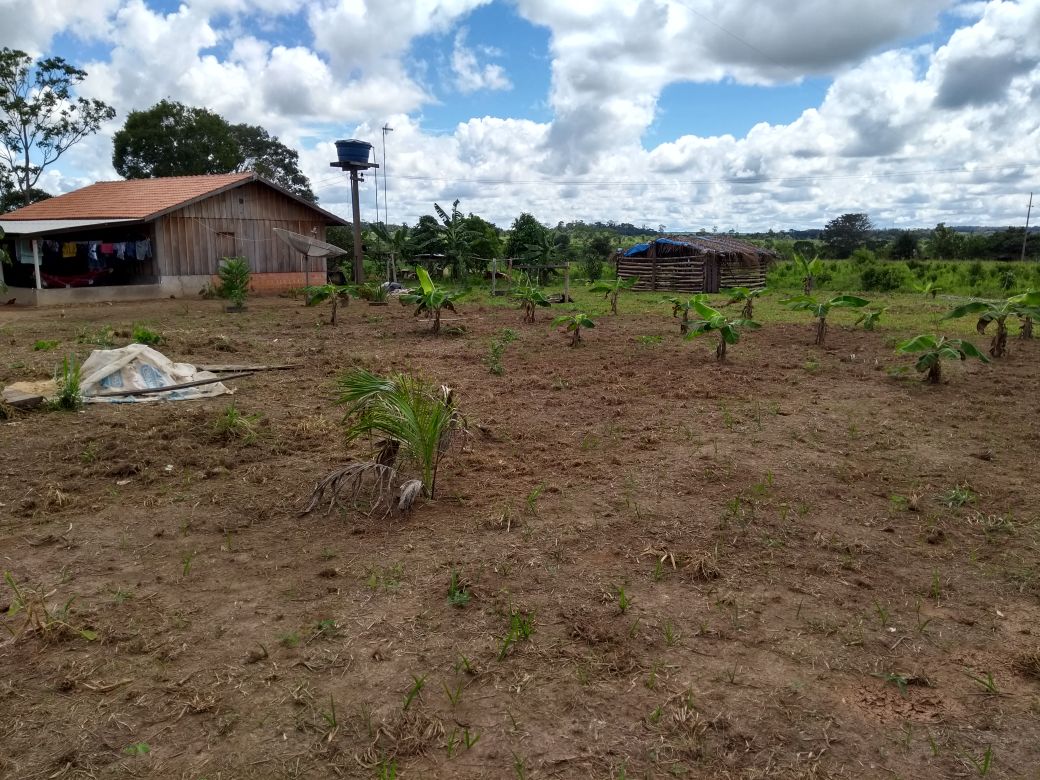 VIVEIRO CIDADÃO: Cadastro para quintais produtivos vai até final de março