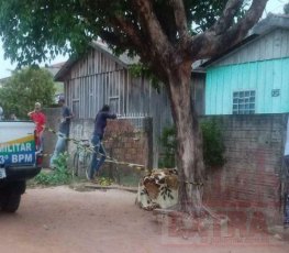 NA FRENTE DE CASA: Mulher é encontra morta sentada em cadeira