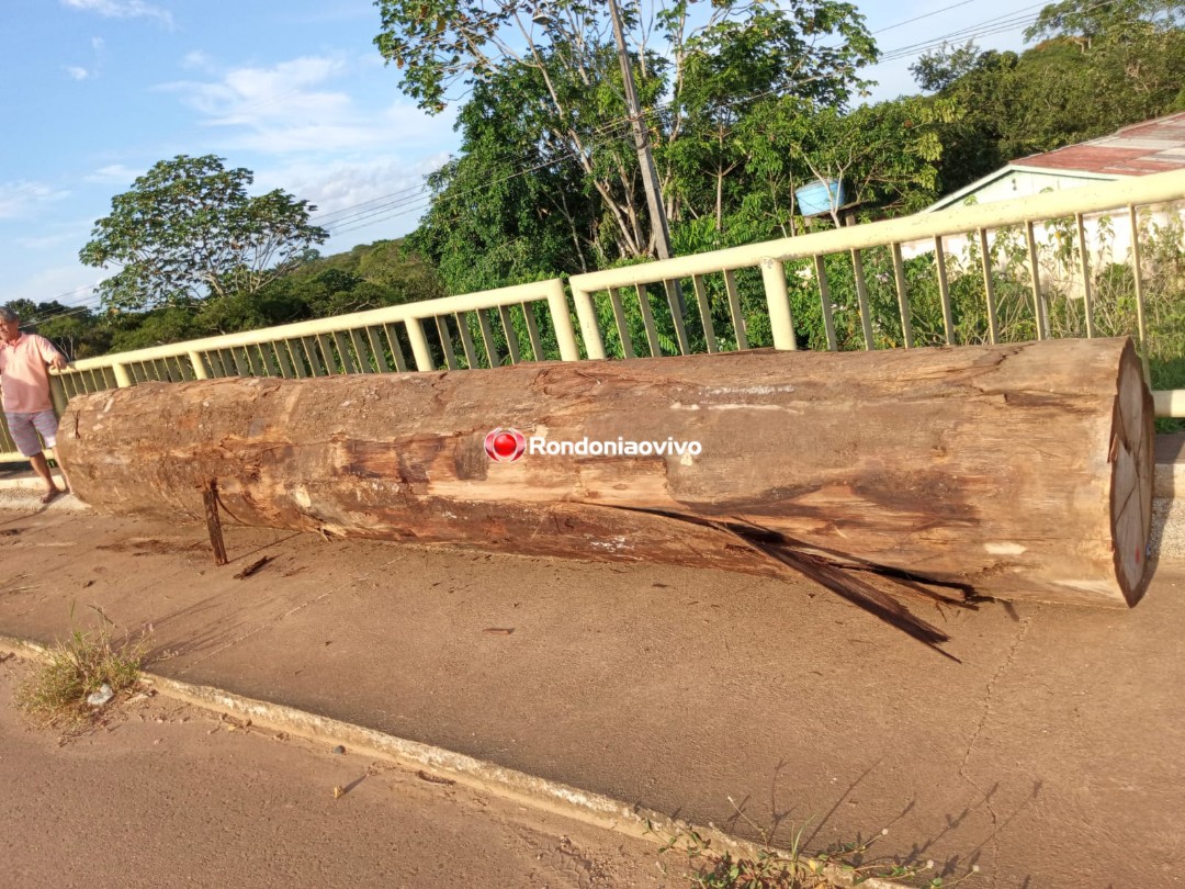 ROMPEU: Mãe e criança são atingidas por tora de madeira que caiu de caminhão na ponte