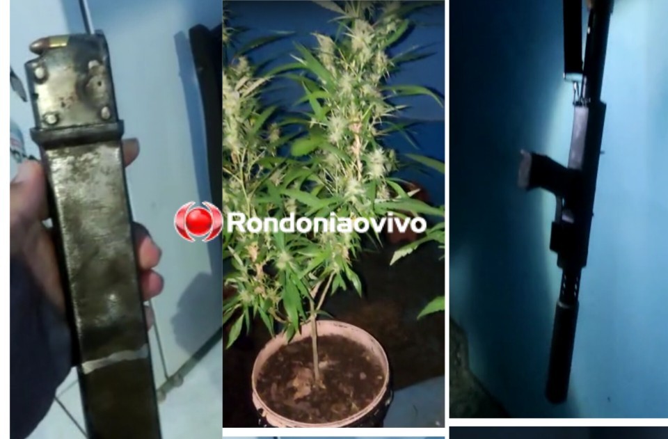 OPERAÇÃO DA PM: Sete pessoas são presas com submetralhadora e mudas de maconha 