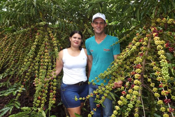 Dia de campo em Alto Alegre dos Parecis reúne centenas de produtores de café