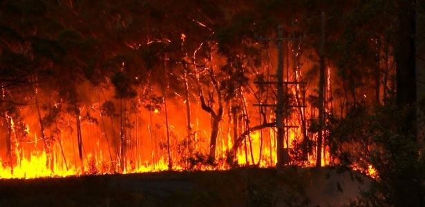 CONSERVAÇÃO AMBIENTAL: TCE determina que gestores adotem medidas visando combater queimadas