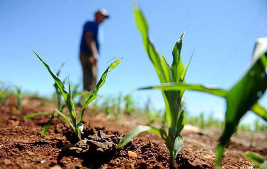 NOVA DATA: Receita prorroga adesão ao Refis Rural para 28 de dezembro