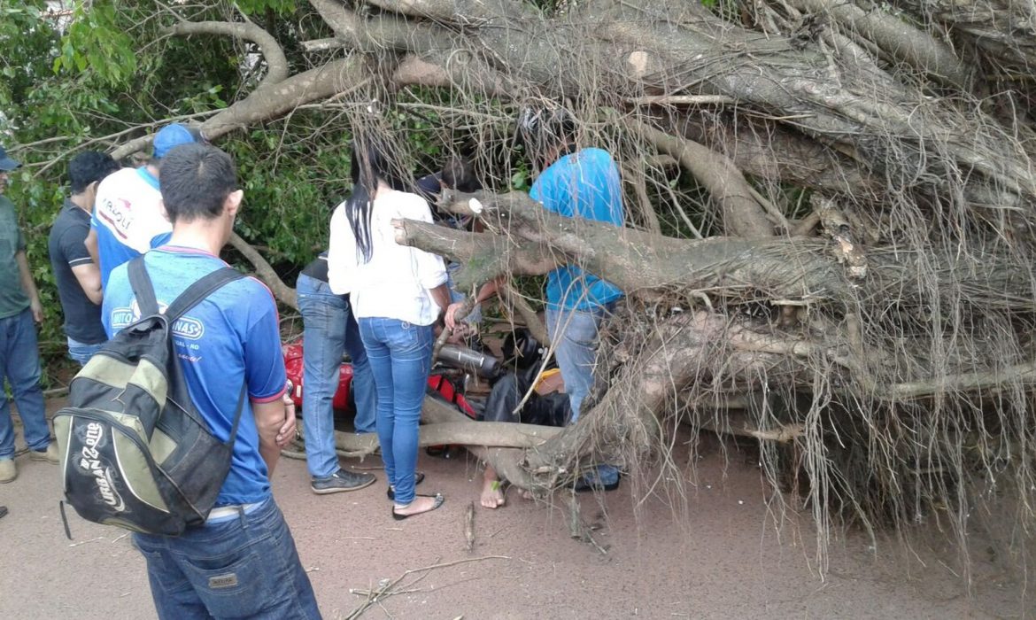 Ciclista fica preso debaixo de árvore derrubada pelo vento