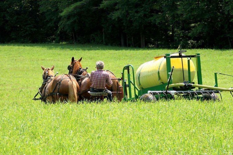 REAPROVEITADO: Agricultores estão usando urina como fertilizante nas plantações