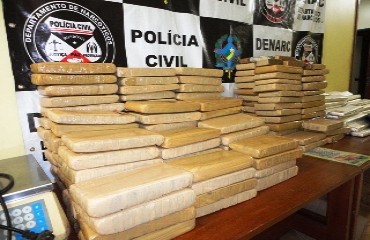 TRÁFICO - DENARC de Porto Velho desarticula quadrilha de traficantes e apreende quase 200 quilos de droga - FOTOS