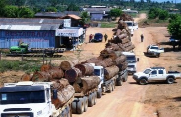 Sedam realiza a segunda fase de embargo e cancelamento de madeireiras