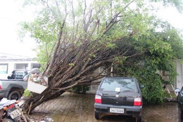 CENA DA CIDADE - Forte chuva derruba árvore em automóvel
