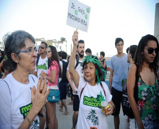 LEGALIZE - Vereador quer criar Dia da Maconha