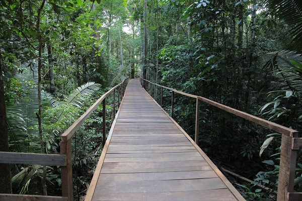 LAZER: Parque Natural de Porto Velho é reaberto após obra de revitalização