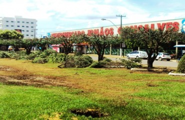 DEGRADAÇÃO AMBIENTAL II – Corte de árvores da avenida Jorge Teixeira está errada, afirma relatório da SEMA – Fotos e vídeo