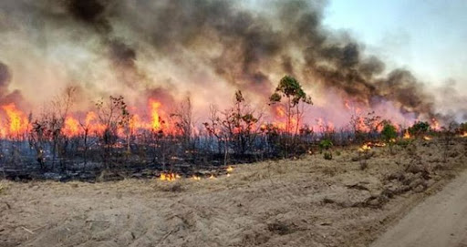 DESTRUIÇÃO : Número de incêndios explode em Porto Velho com 1153 focos de queimadas 