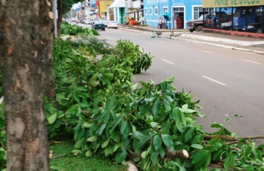 CENA DA CIDADE - Funcionários da prefeitura realizam poda em árvore e atrapalham transito na Rio Madeira