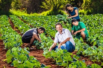 Cooperativas e associações podem ter acesso ao Pronaf, afirmou Mosquini 