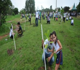 Prefeitura lança programa de arborização Cidade + Verde