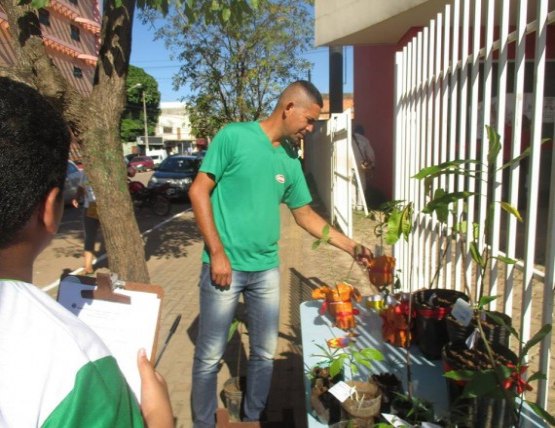 Escolas estaduais distribuem mudas de árvores e plantas medicinais