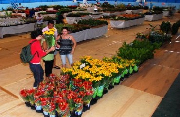 Começa semana que vem Festival de Flores e Plantas em Porto Velho