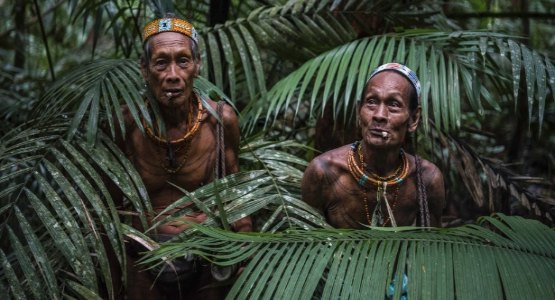 Tribo indonésia luta contra imposição do governo em adotar vida moderna