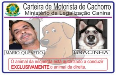 VILHENA – Vereador propõe carteira de motorista de cachorro e vira motivo de piada