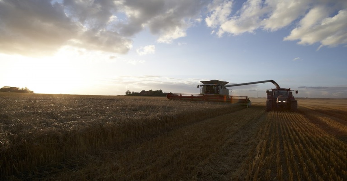 VALOR: Produção agropecuária em 2021 está em cerca de R$ 1,113 trilhão