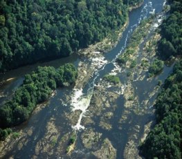 Temer revoga decreto que permitia exploração de reserva na Amazônia