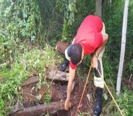 Boi cai em poço de propriedade rural e é retirado pelos bombeiros