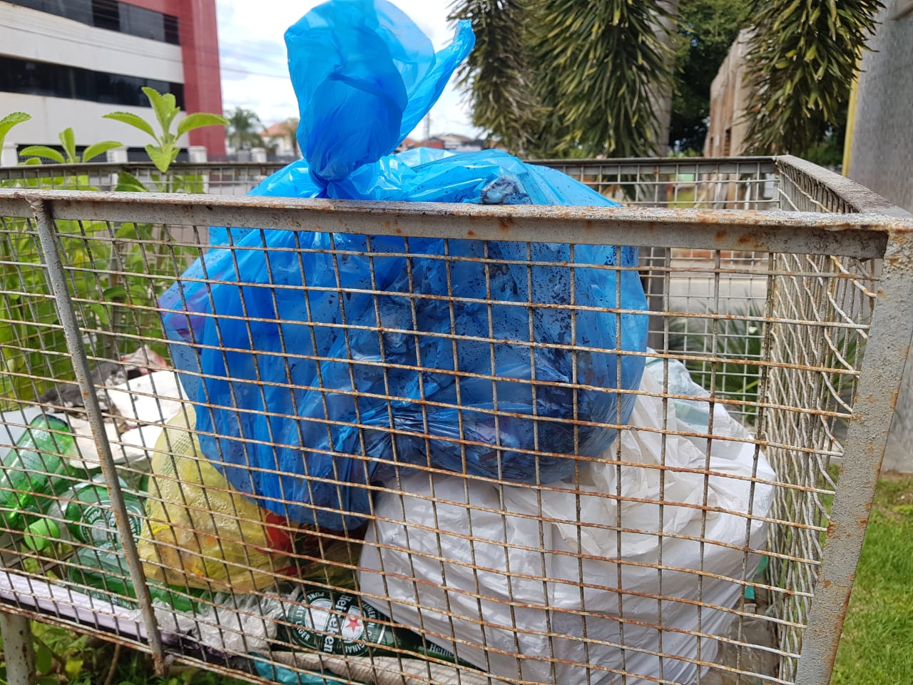 MEIO AMBIENTE : Atitude consciente qualifica a coleta de lixo nas cidades em Rondônia